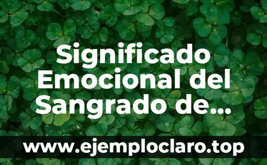 Significado Emocional del Sangrado de Nariz: Un Enfoque Profundo
