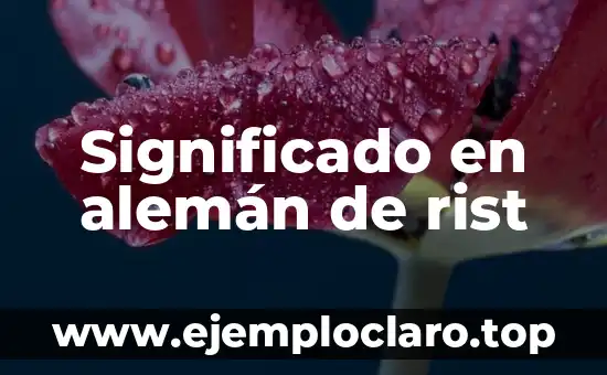 Significado en alemán de rist