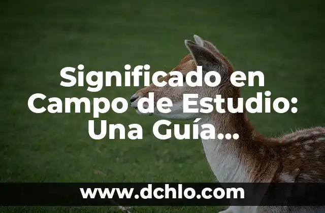 El significado de ser padrino de confirmación: Guía completa 6 Significado en Campo de Estudio: Una Guía Completa