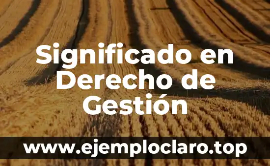 Significado en Derecho de Gestión