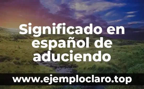 Significado en español de aduciendo