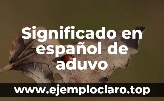 Significado en español de aduvo
