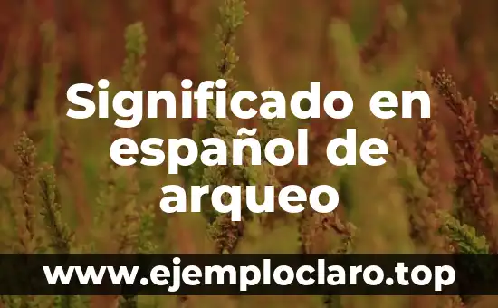 Significado en español de arqueo