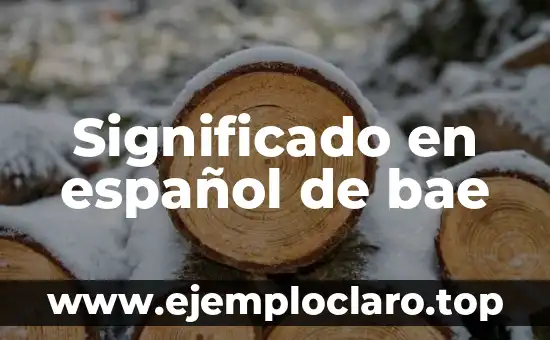 Significado en español de bae