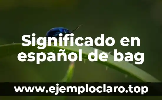 Significado en español de bag