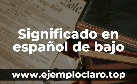 Significado en español de bajo