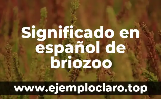 Significado en español de briozoo