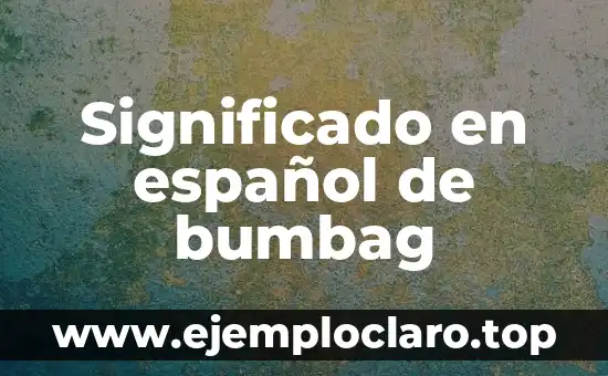 Significado en español de bumbag
