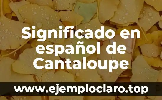 Significado en español de Cantaloupe