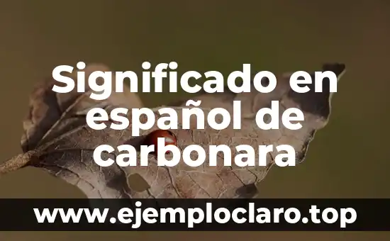 Significado en español de carbonara
