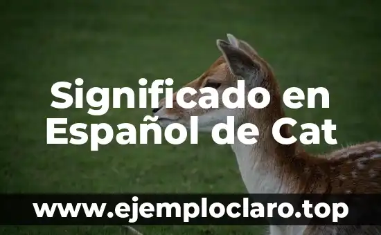Significado en Español de Cat