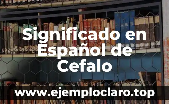 Significado en Español de Cefalo