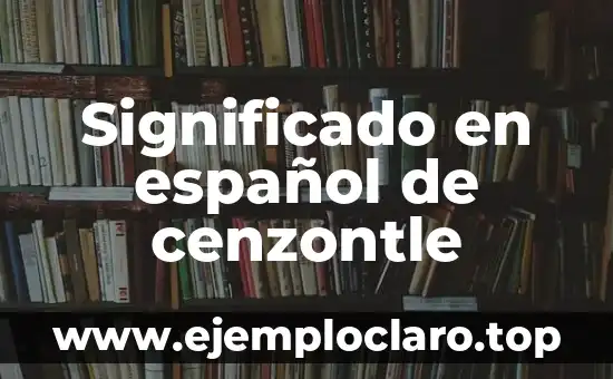 Significado en español de cenzontle