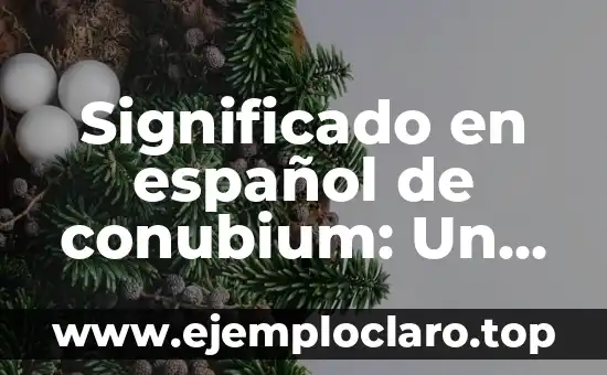 Significado en español de conubium: Un viaje al origen del matrimonio romano