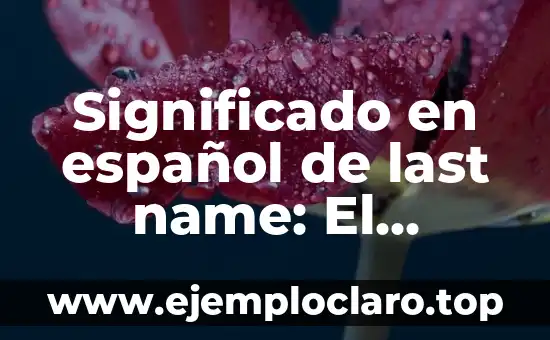 Tour de Force Significado en Español 5 Significado en español de last name: El apellido