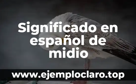El Origen y el Significado de Freddy: Un Viaje al Pasado 3 Significado en español de midio