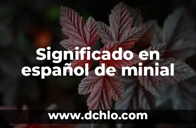 Funcionamiento de E-Learning y su Significado 7 Significado en español de minial