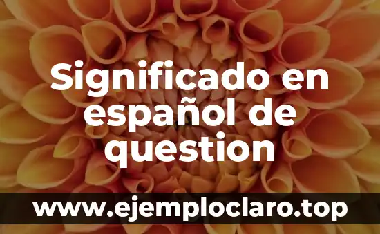 Significado en español de question