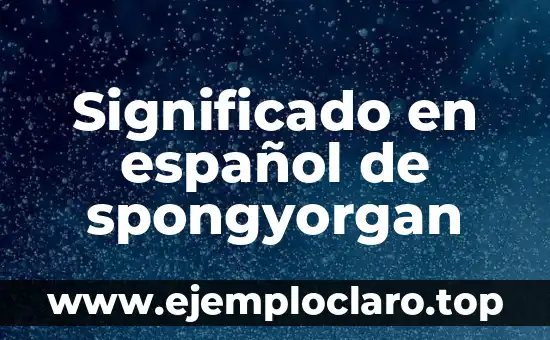 Significado Bíblico de los Sueños 8 Significado en español de spongyorgan