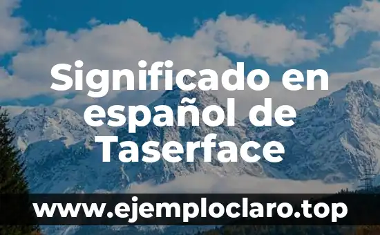 Significado en español de Taserface