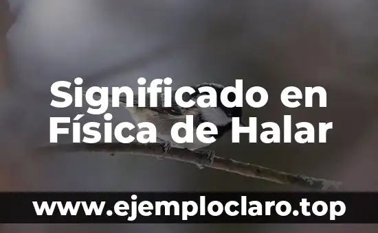Significado en Física de Halar