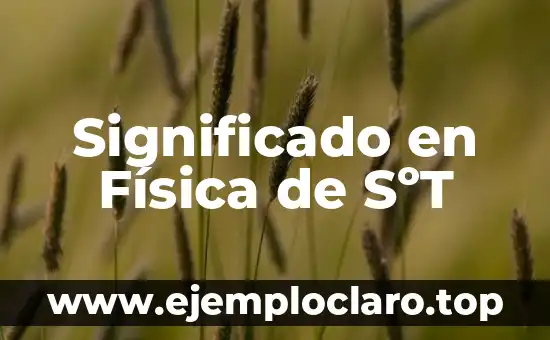 Significado en Física de SºT