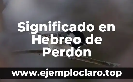 Significado del Valor del Perdón 3 Significado en Hebreo de Perdón