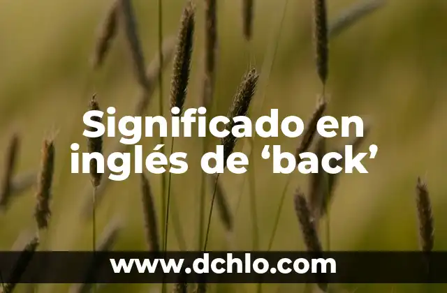 Filosofía de la Práxis y su Significado 7 Significado en inglés de ‘back’