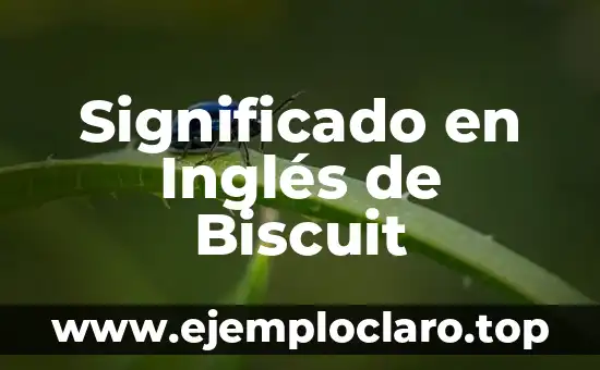 Significado en inglés de bite: Un viaje al corazón del lenguaje 4 Significado en Inglés de Biscuit