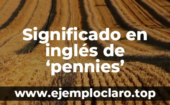 El ex significado de las palabras: Un viaje al pasado del lenguaje 3 Significado en inglés de ‘pennies’