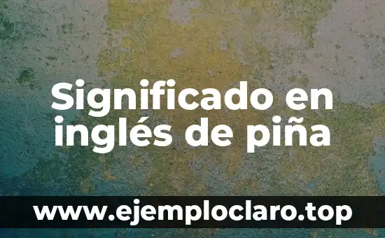 Significado en inglés de piña
