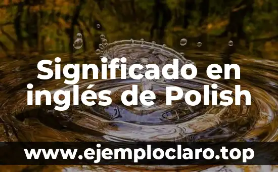 Examen de la Vista Significado 7 Significado en inglés de Polish