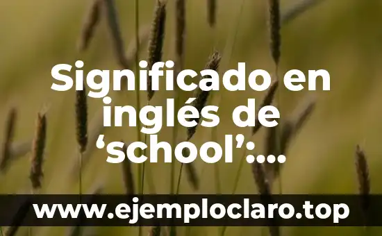 El Misterio de los Sueños: Descubre su Significado 6 Significado en inglés de ‘school’: Descubre su verdadero significado