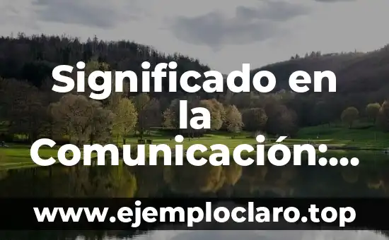 Significado en la Comunicación: Evitando Repeticiones Innecesarias