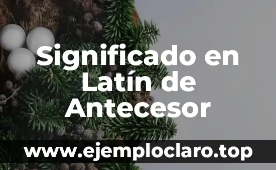 Significado en latín de 'barbaro': Un viaje al origen de la palabra 6 Significado en Latín de Antecesor