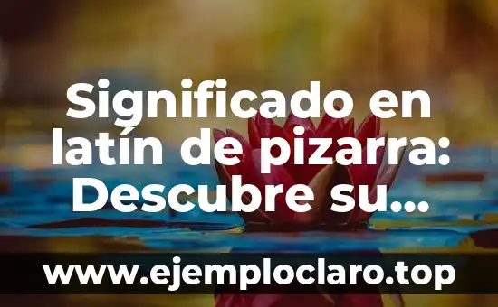 El Significado en Latín del Mito: Un Viaje al Corazón de la Narrativa 5 Significado en latín de pizarra: Descubre su origen y evolución