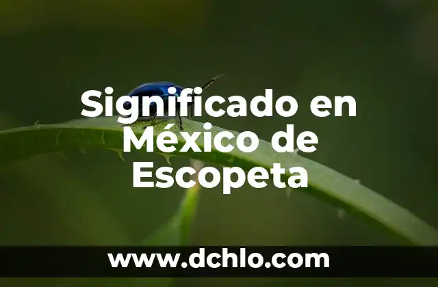 Significado en México de Indiferente 8 Significado en México de Escopeta