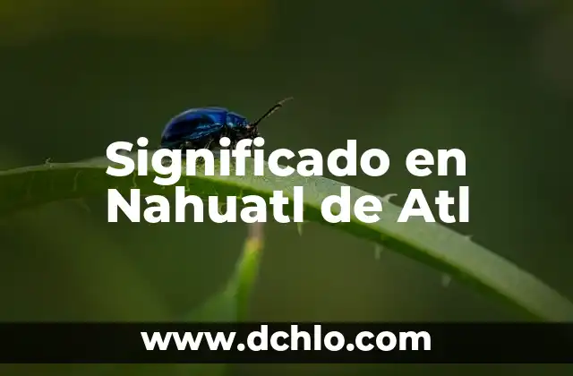 Cual es el significado de Petrushka: Un personaje emblemático de la cultura rusa 7 Significado en Nahuatl de Atl