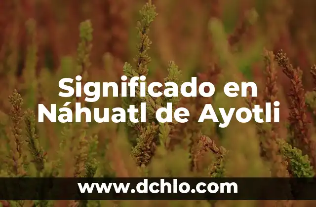 Estrella de David: Su Significado en el Judaísmo 4 Significado en Náhuatl de Ayotli