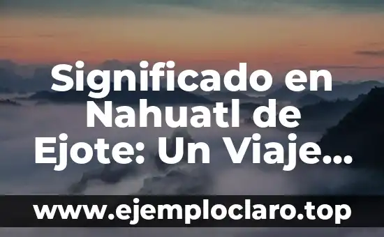 Significado en Nahuatl de Ejote: Un Viaje a la Raíz Lingüística