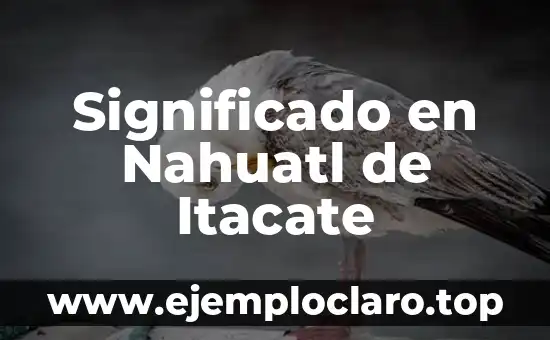 Significado en Nahuatl de Ejote: Un Viaje a la Raíz Lingüística 5 Significado en Nahuatl de Itacate