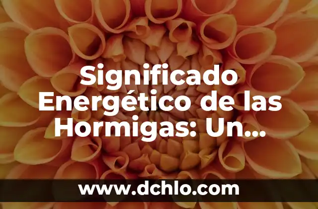 Cual es el significado de pululan 8 Significado Energético de las Hormigas: Un Enfoque Profundo