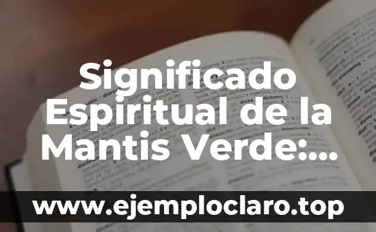 Significado Espiritual de la Mantis Verde: Un Viaje a lo Divino