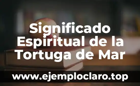 Estrellas de Mar Sueños Significado 6 Significado Espiritual de la Tortuga de Mar