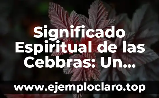La Joie de Vivre: Un Viaje al Significado de la Alegría de Vivir 5 Significado Espiritual de las Cebbras: Un Viaje Simbólico
