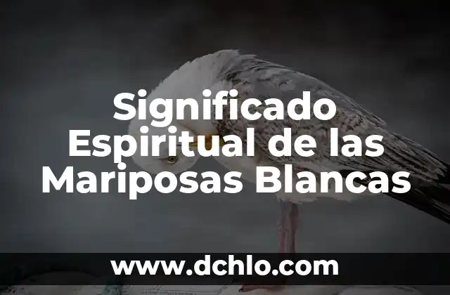 Tipos de Mariposas y su Significado: Guía Completa 4 Significado Espiritual de las Mariposas Blancas
