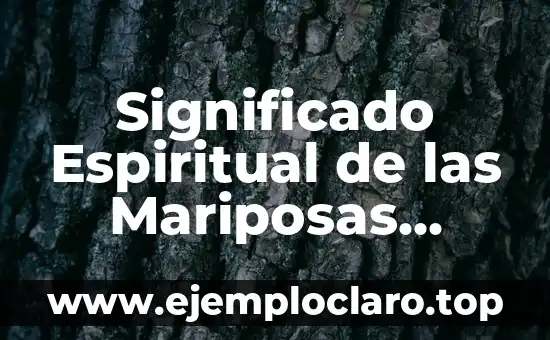 Significado Espiritual de las Mariposas Negras: Un Viaje a lo Sobrenatural