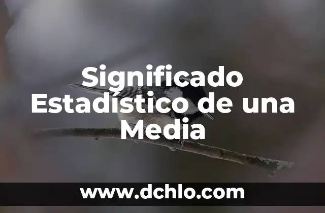 El significado del estado transitorio en la simulación: Una guía completa 6 Significado Estadístico de una Media