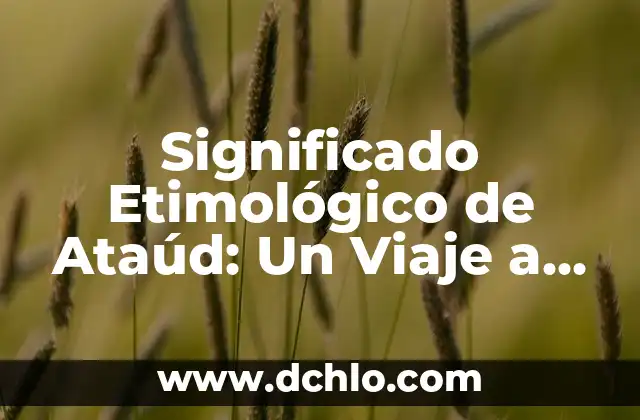 El Origen y Raíces de la Filosofía 3 Significado Etimológico de Ataúd: Un Viaje a sus Raíces Lingüísticas y Culturales