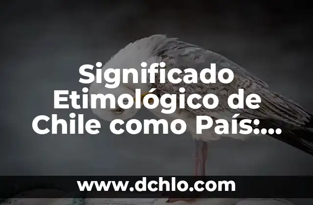 El Significado del Origami: Un Arte Tradicional Japonés 5 Significado Etimológico de Chile como País: Un Viaje por su Origen Histórico